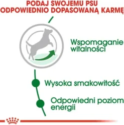Royal Canin Adult 8+ Mini Sucha Karma dla psa op. 8kg WYPRZEDAŻ