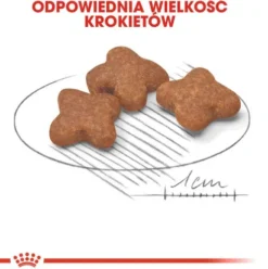 Royal Canin Adult 8+ Mini Sucha Karma dla psa op. 8kg WYPRZEDAŻ