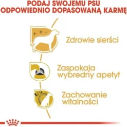 Royal Canin Adult Yorkshire Terrier Sucha Karma dla psa op. 1.5kg