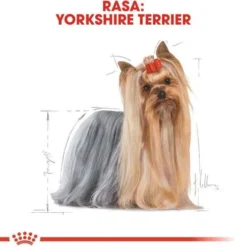 Royal Canin Adult Yorkshire Terrier Sucha Karma dla psa op. 7.5kg