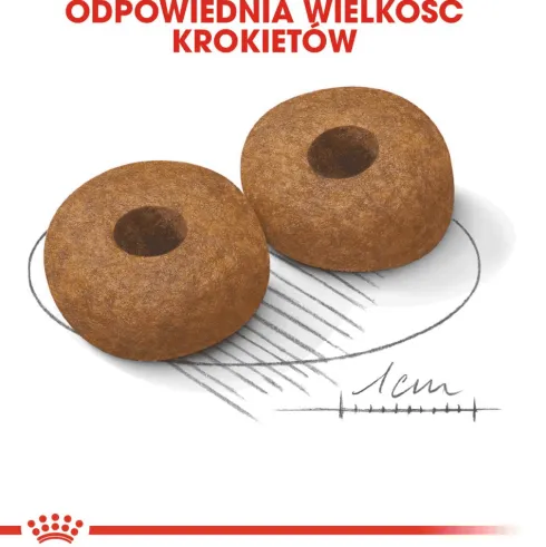 Royal Canin Ageing 10+ Medium Sucha Karma dla psa op. 15kg WYPRZEDAŻ