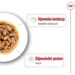 Royal Canin Ageing Mini Mokra Karma dla psa op. 85g Pakiet 12szt.