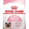 Royal Canin BabyCat Sucha Karma dla kociąt op. 400g
