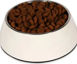 Royal Canin Expert Adult Large Sucha Karma dla psa op. 13kg