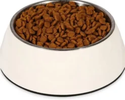 Royal Canin Expert Dental Small Dog Sucha Karma dla psa op. 1.5kg
