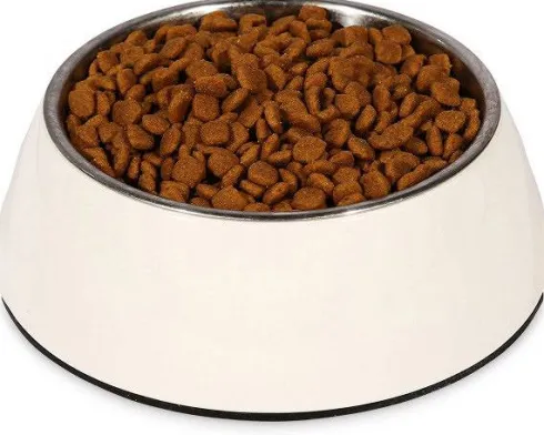 Royal Canin Expert Dental Small Dog Sucha Karma dla psa op. 1.5kg