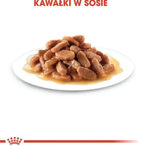 Royal Canin Kitten w sosie Mokra Karma dla kociąt op. 85g Pakiet 12szt.