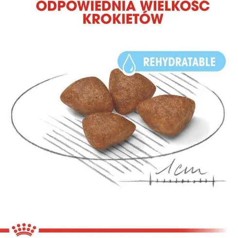 Royal Canin Mini Starter Karma dla szczeniaka op. 8kg
