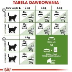 Royal Canin Outdoor Sucha Karma dla kota op. 2kg