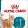 Royal Canin Senior 11+ Sucha Karma dla kota op. 4kg