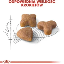 Royal Canin Sensible Sucha Karma dla kota op. 400g