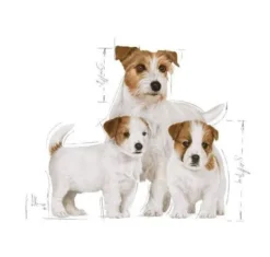 Royal Canin Starter Mousse Mother&Babydog Mokra Karma dla szczeniaka op. 195g