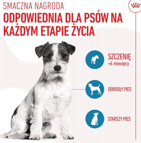 Royal Canin Training Treats Przysmaki Treningowe dla psa op. 110g