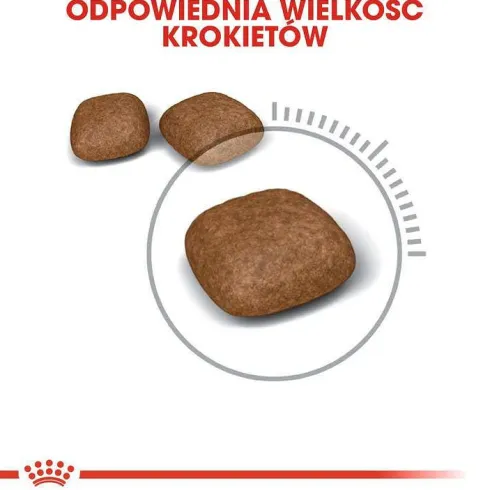Royal Canin Urinary Care Sucha Karma dla kota op. 4kg WYPRZEDAŻ