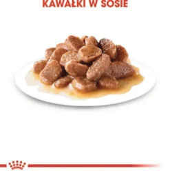 Royal Canin Urinary Care w sosie Mokra Karma dla kota op. 85g Pakiet 12szt.