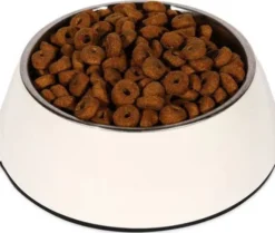 Royal Canin Vet Adult Neutered Large Dog Sucha Karma dla psa op. 2x12kg MEGA-PAK