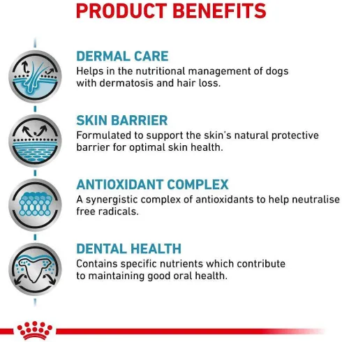 Royal Canin Vet Adult Small Skin Care Sucha Karma dla psa op. 4kg