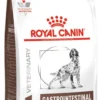 Royal Canin Vet Gastro Intestinal Sucha Karma dla psa op. 15kg