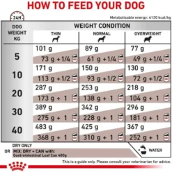 Royal Canin Vet Gastro Intestinal Sucha Karma dla psa op. 15kg