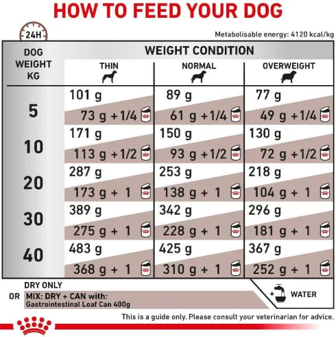 Royal Canin Vet Gastro Intestinal Sucha Karma dla psa op. 2kg