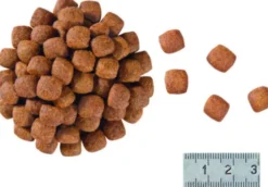 Royal Canin Vet Gastro Intestinal Hairball Sucha Karma dla kota op. 400g