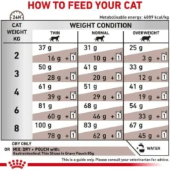 Royal Canin Vet Gastro Intestinal Sucha Karma dla kota op. 2kg