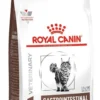 Royal Canin Vet Gastro Intestinal Sucha Karma dla kota op. 400g