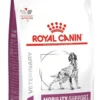 Royal Canin Vet Mobility Support Sucha Karma dla psa op. 2x12kg MEGA-PAK