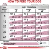 Royal Canin Vet Renal Sucha Karma dla psa op. 2x14kg MEGA-PAK