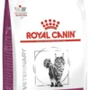 Royal Canin Vet Renal Sucha Karma dla kota op. 4kg