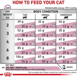 Royal Canin Vet Renal Sucha Karma dla kota op. 4kg