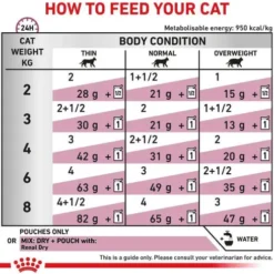 Royal Canin Vet Renal with Fish Mokra Karma dla kota op. 85g Pakiet 12szt.