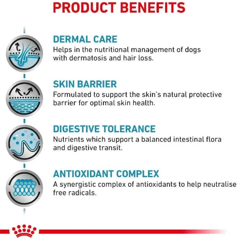 Royal Canin Vet Skin Care Sucha Karma dla psa op. 11kg
