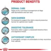 Royal Canin Vet Skin Care Sucha Karma dla psa op. 2x11kg MEGA-PAK