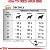 Royal Canin Vet Small Urinary S/O Sucha Karma dla psa op. 1.5kg