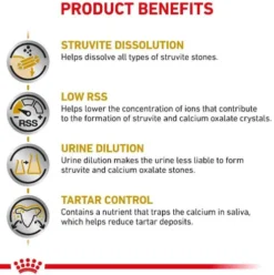 Royal Canin Vet Small Urinary S/O Sucha Karma dla psa op. 4kg