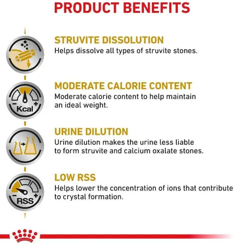 Royal Canin Vet Urinary S/O Moderate Calorie Sucha Karma dla kota op. 9kg