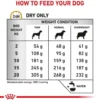 Royal Canin Vet Urinary S/O Sucha Karma dla psa op. 2x13kg MEGA-PAK