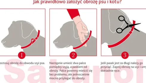 Sabunol Obroża na kleszcze i pchły dla psa kolor czerwony dł. 50cm