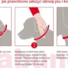 Sabunol Obroża na kleszcze i pchły dla psa kolor czerwony dł. 75cm