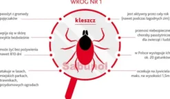 Sabunol PLUS Obroża na kleszcze i pchły dla psa dł. 50cm