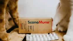 Scanvet Preparat na odporność Scanomune dla psa i kota op. 30 kapsułek