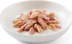 Schesir Adult Tuna&Salmon in Jelly Mokra Karma dla kota op. 85g Pakiet 12szt.