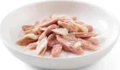 Schesir Adult Tuna&Sqiud in Jelly Mokra Karma dla kota op. 70g