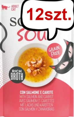 Schesir Soup with Salmon&Carrot Mokra Karma dla kota op. 40g Pakiet 12szt.
