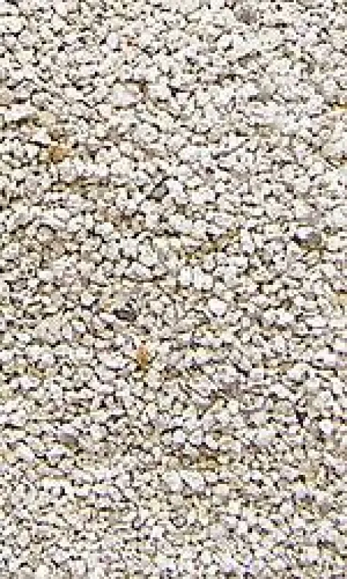 Super Benek Neutralizator zapachów Zielona herbata dla kota op. 500g