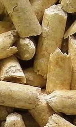 Super Pinio Żwirek drzewny Naturalny dla zwierząt domowych poj. 10l