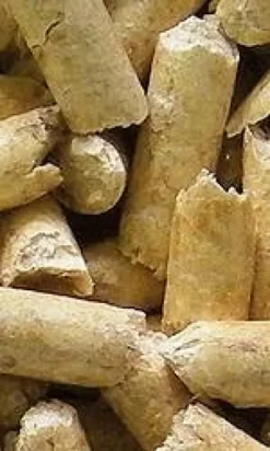 Super Pinio Żwirek drzewny Naturalny zapach zielona herbata dla zwierząt domowych poj. 10l WYPRZEDAŻ