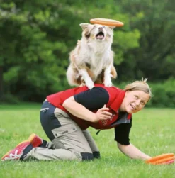 Trixie Frisbee Dog Activity disc dla psa śr. 23cm mix kolorów nr kat. 33562 WYPRZEDAŻ