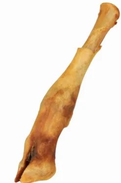 Trixie Gryzak Suszone kopytko jagnięce dla psa dł. 18-20cm nr kat. 2740